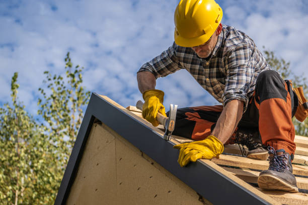 Best Roof Coating and Sealing  in Harlingen, TX